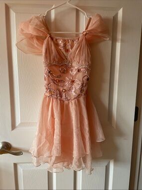 Peach Embellished Tulle Dance Costume